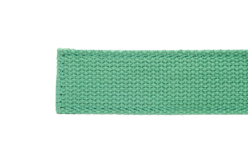 1.25" Lime Canvas Strap - Image 3