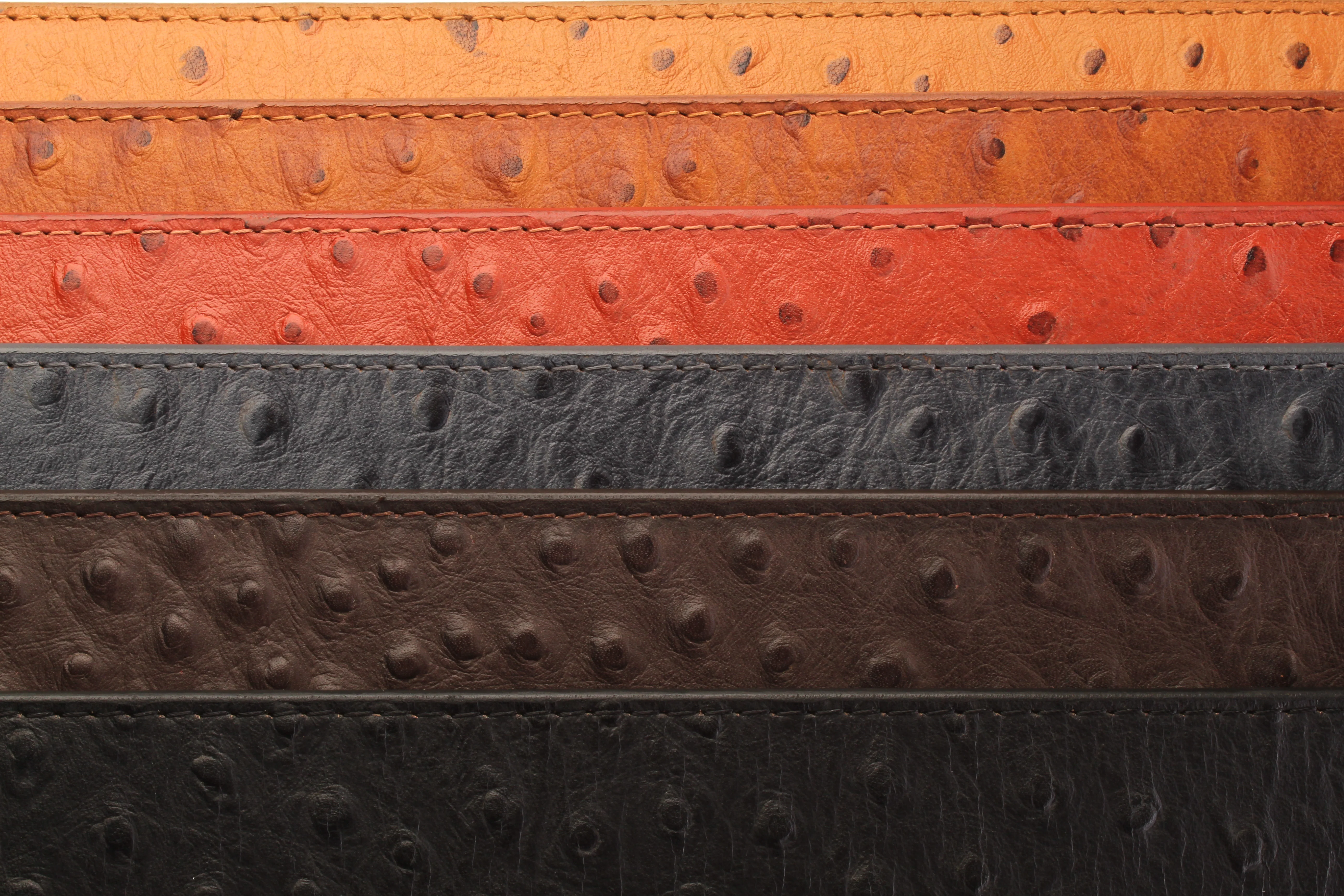 Ostrich-Embossed Vegetable Tanned Leather - Image 12