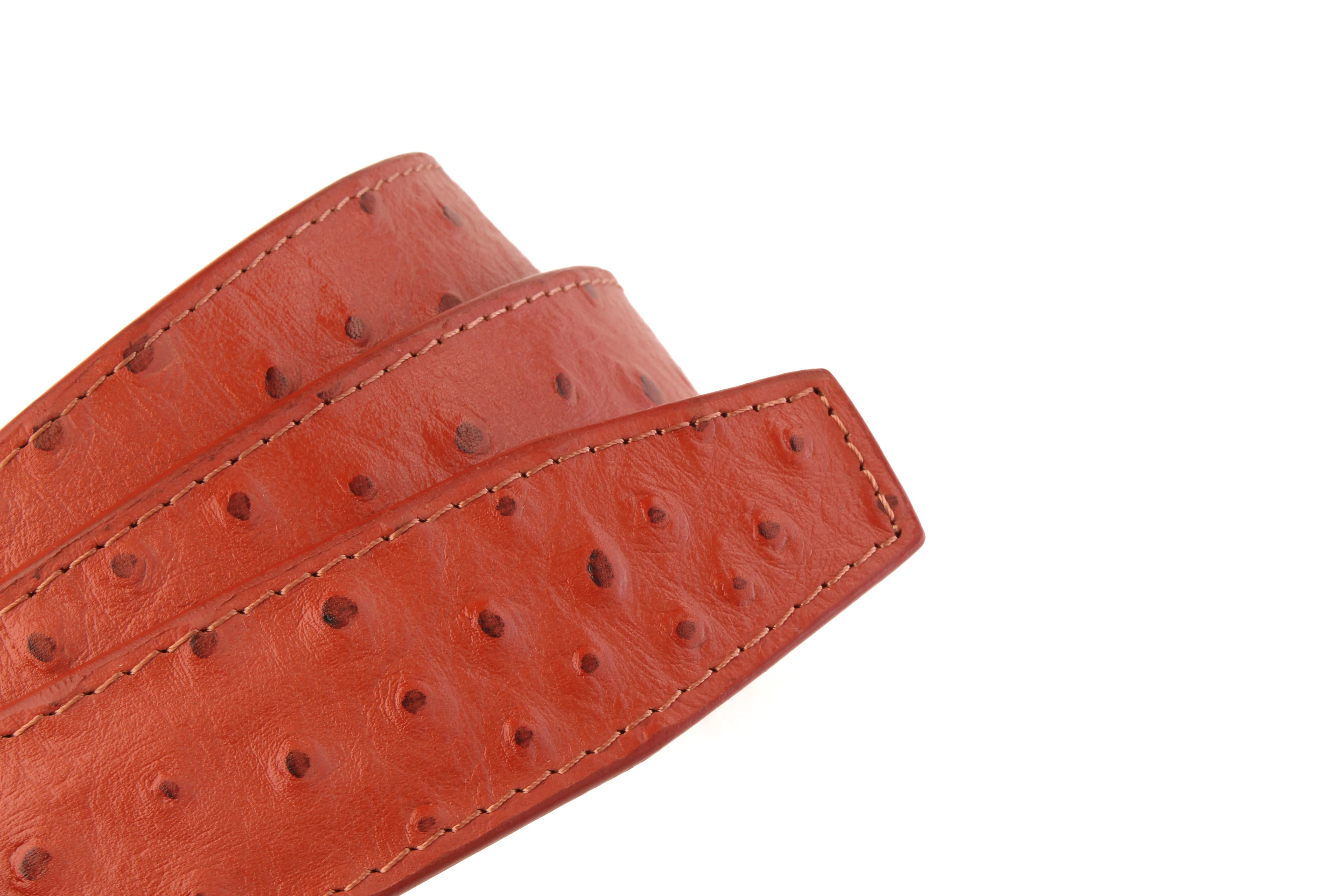 Ostrich-Embossed Vegetable Tanned Leather - Image 20